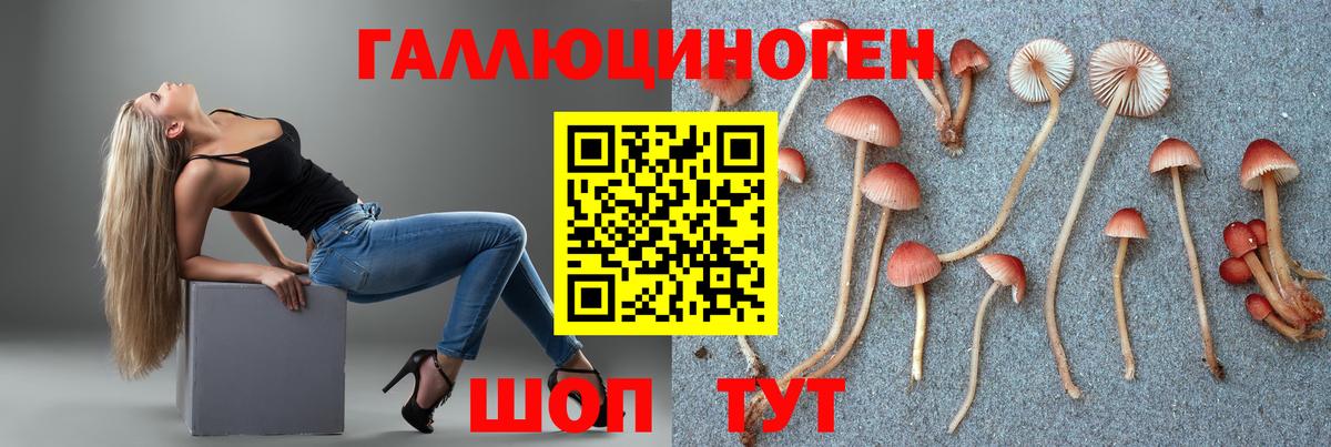 Галлюциногенные грибы GOLDEN TEACHER Зеленогорск