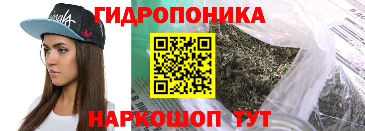 МАРИХУАНА гибрид  Каннабис сатива  Зеленогорск  Вход с VPN 